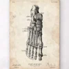 Affiche d'anatomie du pied II