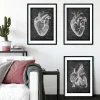 Anatomie cardiaque - Chalkboard - Lot de 3