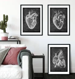 Anatomie cardiaque - Chalkboard - Lot de 3