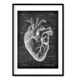 Anatomie cardiaque - Chalkboard - Lot de 3