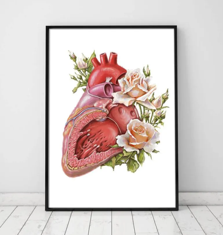 Anatomie cardiaque - Floral - Blanc