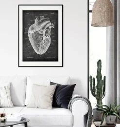 Anatomie cardiaque I - Chalkboard