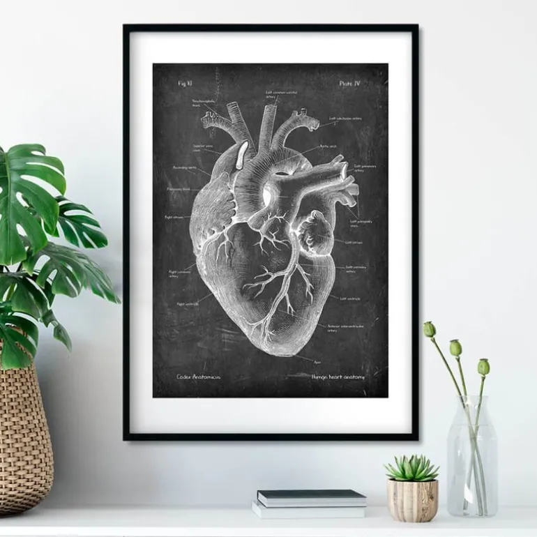 Anatomie cardiaque II - Chalkboard