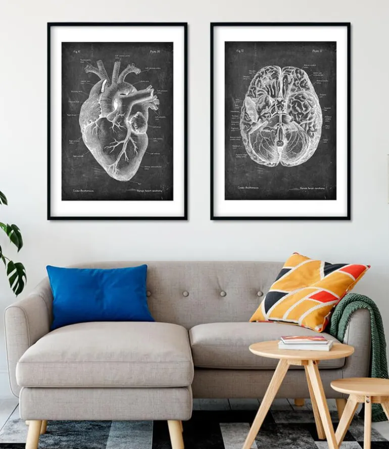 Anatomie cardiaque II - Chalkboard