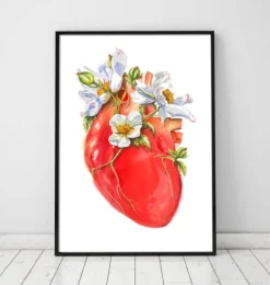 Anatomie cardiaque II - Floral - Blanc