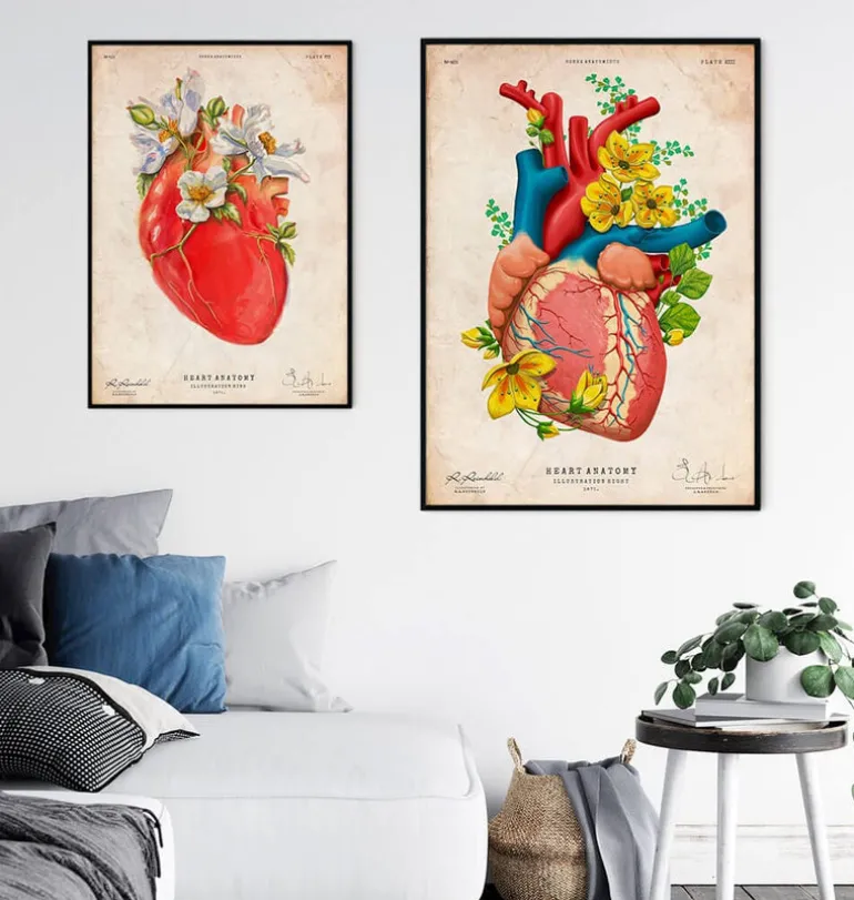 Anatomie cardiaque II - Floral - Vieux papier