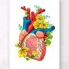 Anatomie cardiaque III - Floral - Blanc
