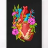 Anatomie cardiaque IV - Floral - Noir