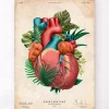 Anatomie cardiaque V - Floral - Vintage
