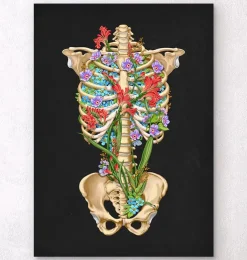 Anatomie de la cage thoracique - Floral - Noir
