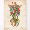 Anatomie de la cage thoracique II - Floral - Vintage