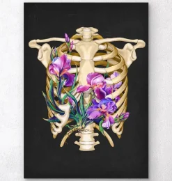 Anatomie de la cage thoracique - Floral - Noir
