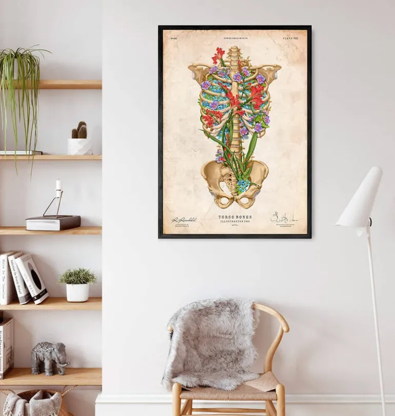 Anatomie de la cage thoracique II - Floral - Vintage