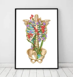 Anatomie de la cage thoracique - Floral - Blanc