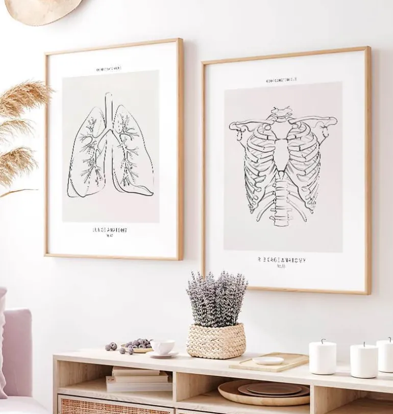 Anatomie de la cage thoracique - Line Art