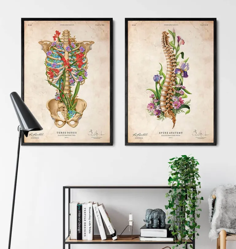 Anatomie de la cage thoracique II - Floral - Vintage