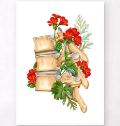 Anatomie de la colonne vertébrale II - Floral - Blanc