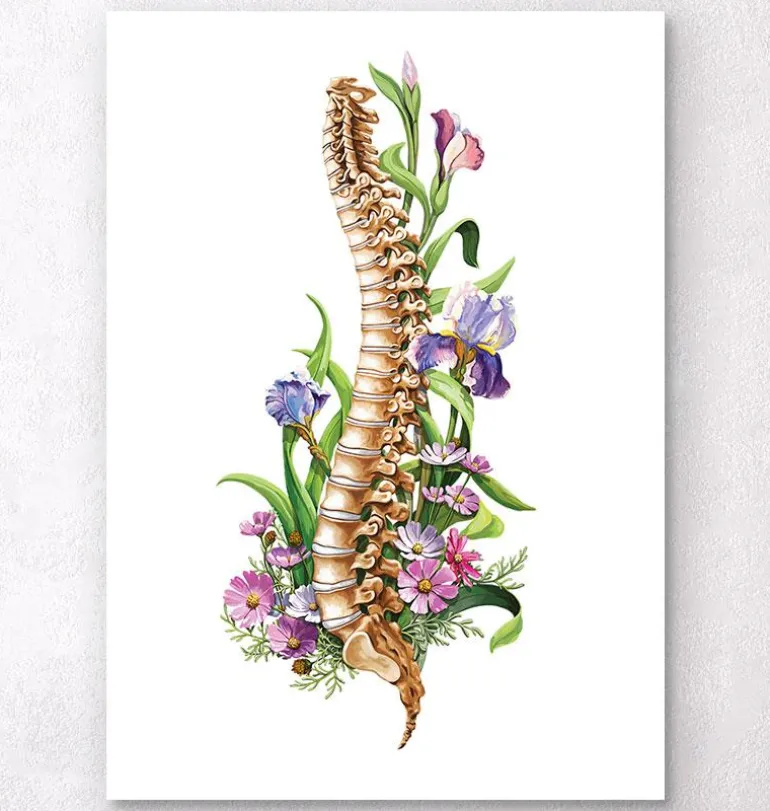 Anatomie de la colonne vertébrale - Floral - Blanc