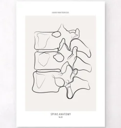 Anatomie de la colonne vertébrale II - Line Art