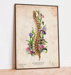 Anatomie de la colonne vertébrale - Floral - Vieux papier
