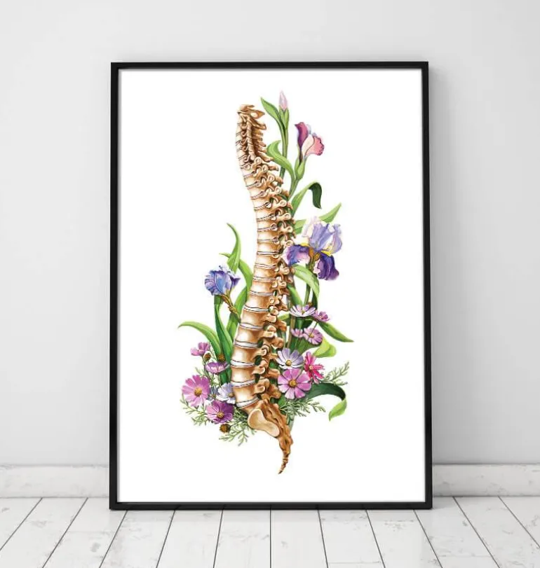 Anatomie de la colonne vertébrale - Floral - Blanc