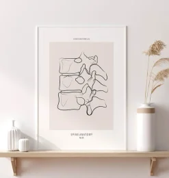 Anatomie de la colonne vertébrale II - Line Art