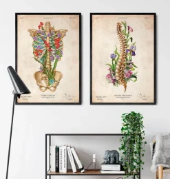 Anatomie de la colonne vertébrale - Floral - Vieux papier