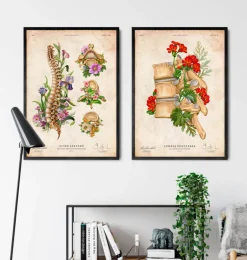Anatomie de la colonne vertébrale - Floral - Vintage