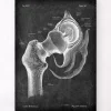 Anatomie de la hanche - Chalkboard