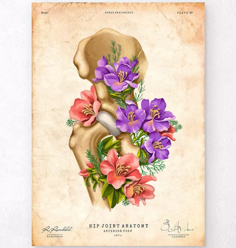 Anatomie de la hanche - Floral - Vintage