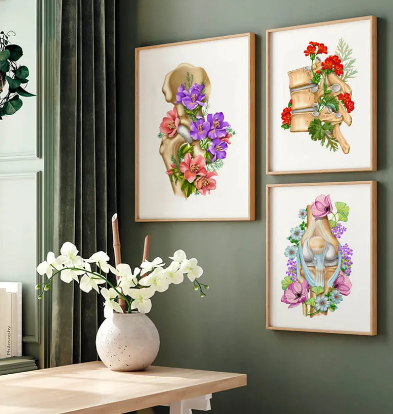 Anatomie de la hanche - Floral - Blanc