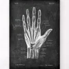Anatomie de la main - Chalkboard