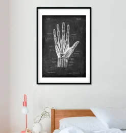 Anatomie de la main - Chalkboard