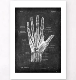 Anatomie de la main - Chalkboard