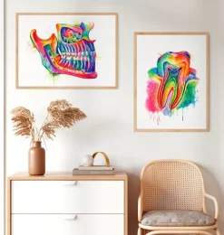 Anatomie de la mâchoire - Aquarelle