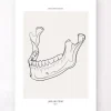 Anatomie de la mâchoire - Line Art
