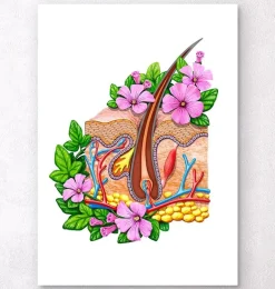 Anatomie de la peau - Floral - Blanc
