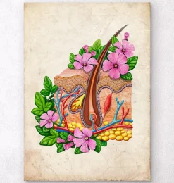 Anatomie de la peau - Floral - Vieux papier