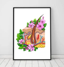 Anatomie de la peau - Floral - Blanc