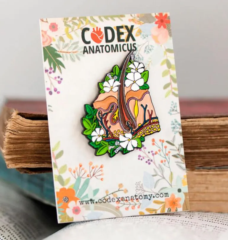 Anatomie de la peau - Pins
