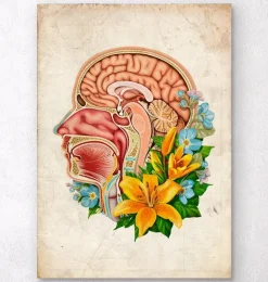 Anatomie de la tête - Floral - Vieux papier