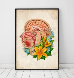 Anatomie de la tête - Floral - Vieux papier