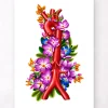 Anatomie de l'aorte - Floral - Blanc