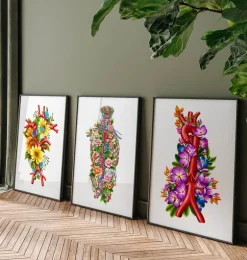 Anatomie de l'aorte - Floral - Blanc