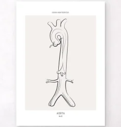 Anatomie de l'aorte - Line Art