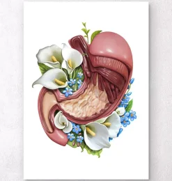 Anatomie de l'estomac - Floral - Blanc
