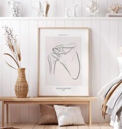 Anatomie de l’épaule - Line Art