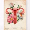 Anatomie de l'utérus - Floral - Vieux papier