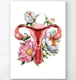 Anatomie de l'utérus - Floral - Blanc