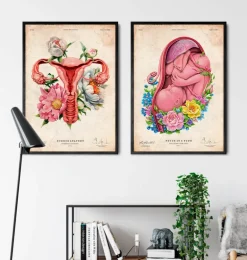 Anatomie de l'utérus - Floral - Vieux papier